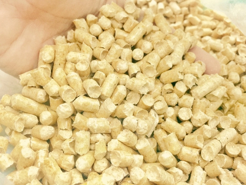 Gỗ Thông 6mm 1Kg
